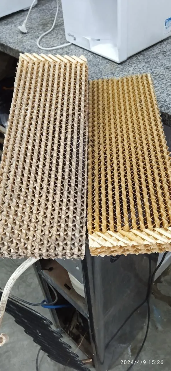 Colmeia evaporativa limpa